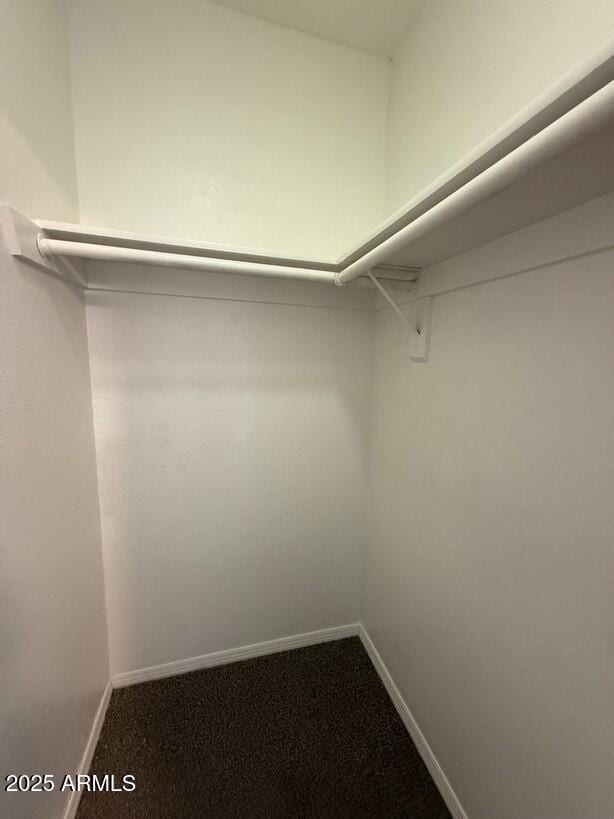 spacious closet featuring carpet