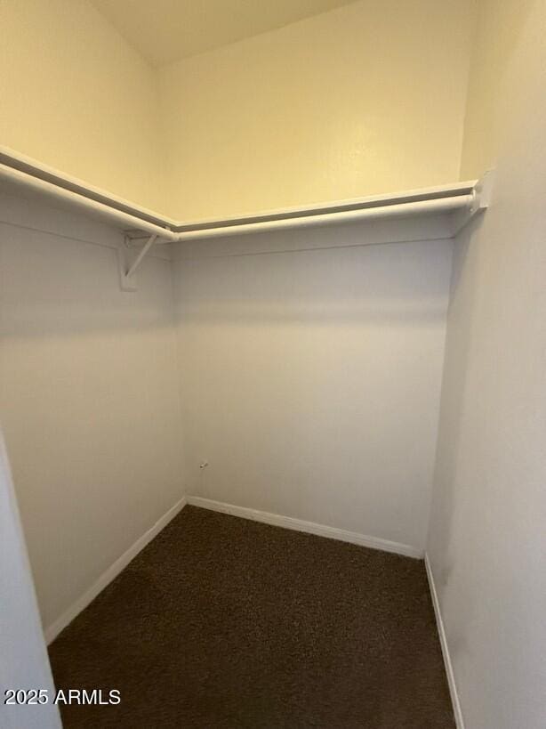 walk in closet with carpet