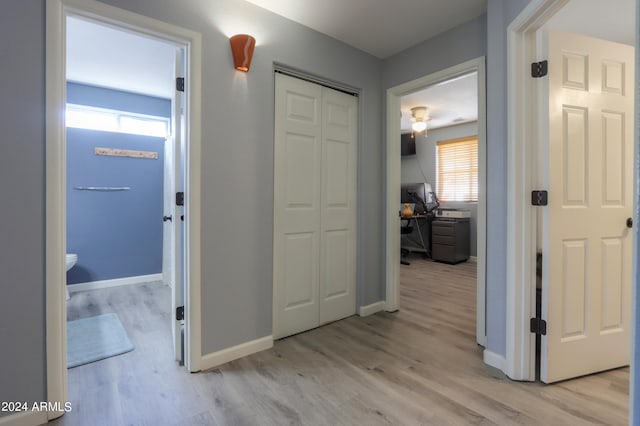 hall featuring light hardwood / wood-style floors and a wealth of natural light