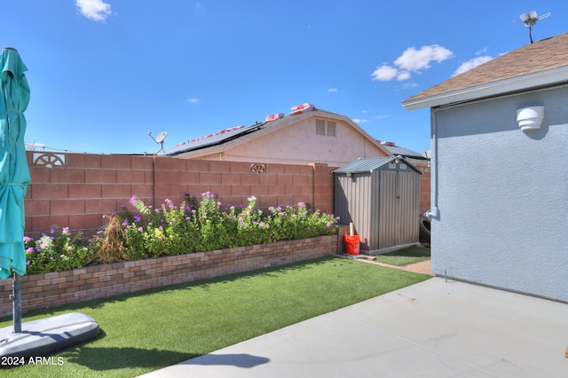 view of yard featuring a patio and a storage unit