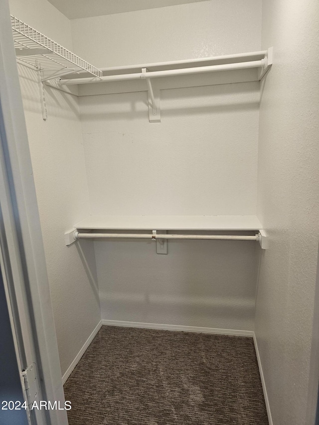 walk in closet featuring dark carpet