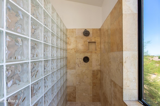 3030 N Saranac, Mesa, AZ 85207 - bathroom with tiled shower