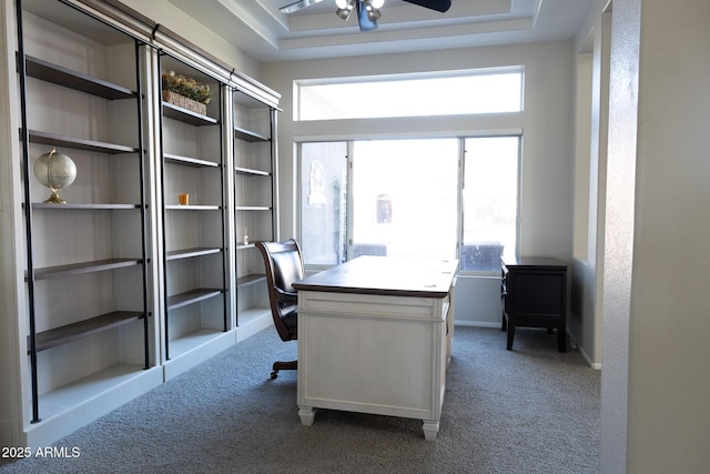 office area with ceiling fan, a tray ceiling, and carpet