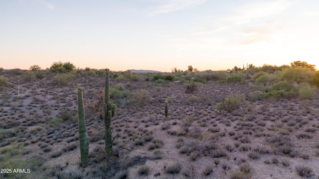1055 W Monte Vista Trl Unit 19, Wickenburg, AZ 85390