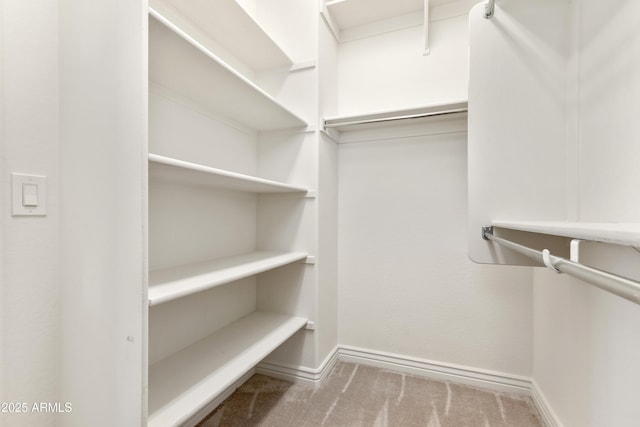 spacious closet with carpet