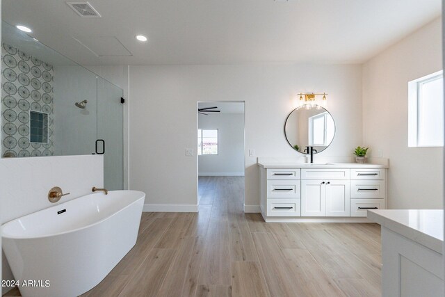 3909 S Veronica Ln, Gold Canyon, AZ 85118 - full bath with visible vents, wood finished floors, vanity, and a stall shower