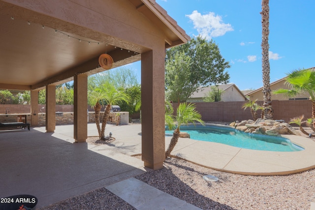 view of pool featuring a patio area