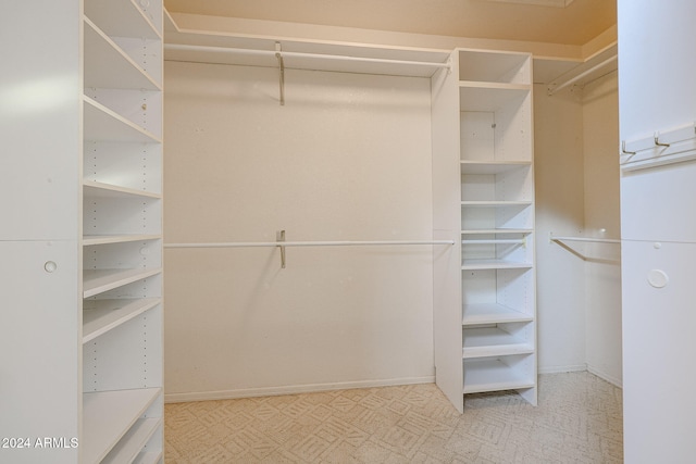 view of spacious closet