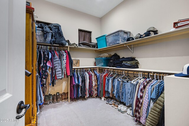 1008 E Mano Dr, New River, AZ 85087 - spacious closet featuring carpet