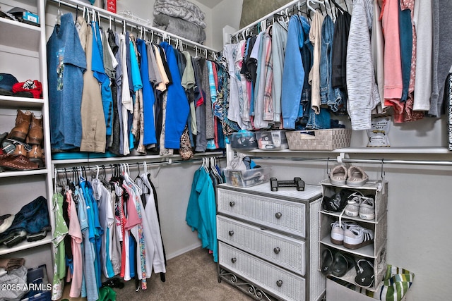 spacious closet with carpet floors