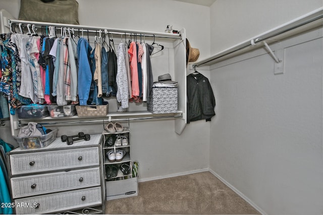 walk in closet featuring carpet floors