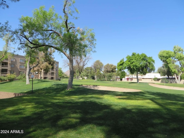 view of home's community with a yard