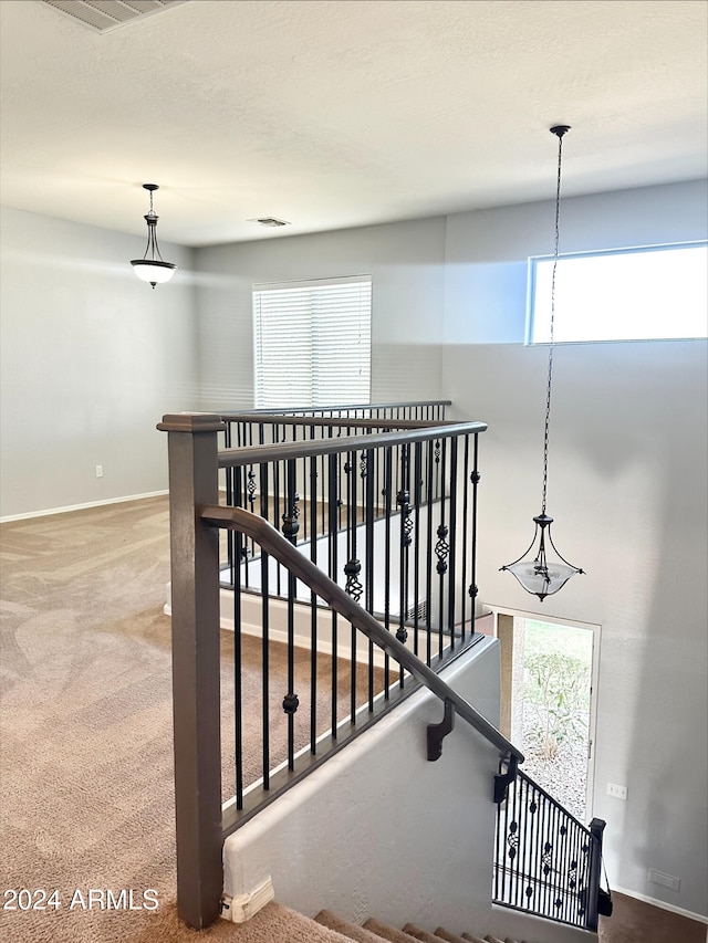 stairway with carpet flooring and a healthy amount of sunlight