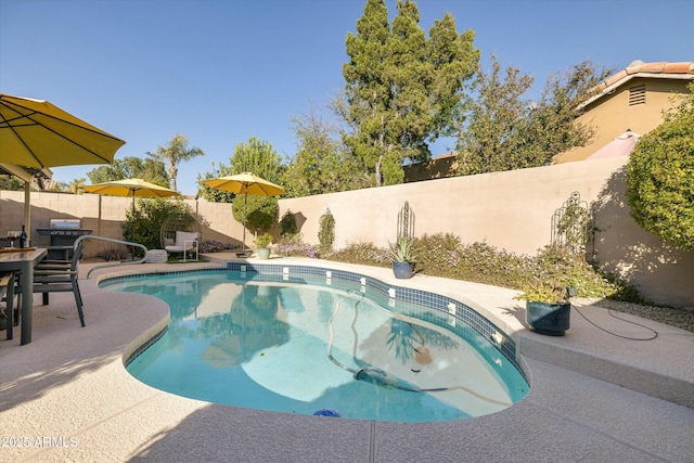 view of pool featuring a fenced backyard, a fenced in pool, and a patio