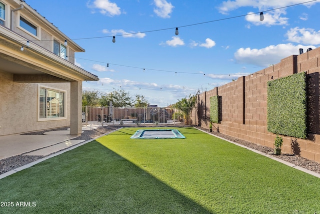 view of yard featuring a patio area