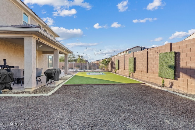 view of yard featuring a patio