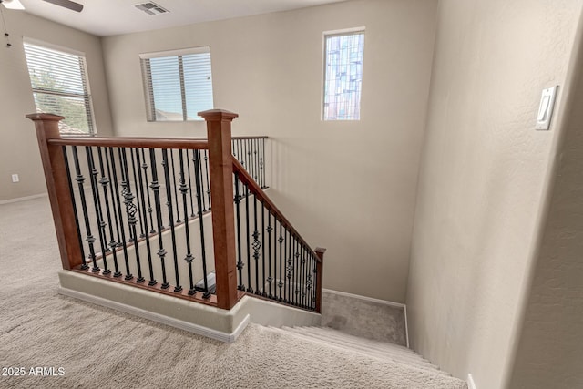 staircase featuring carpet flooring, a ceiling fan, visible vents, and a wealth of natural light