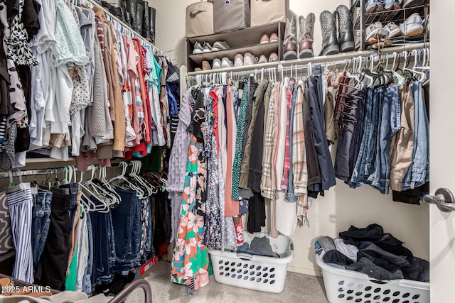 view of spacious closet