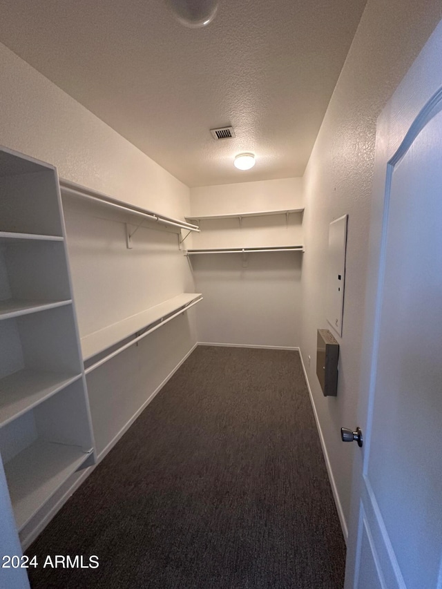 walk in closet with electric panel and carpet flooring