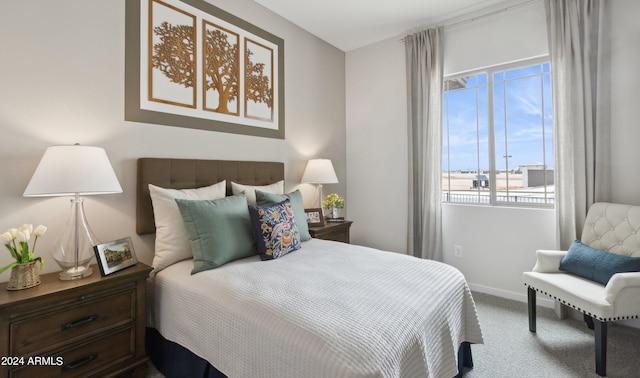 view of carpeted bedroom