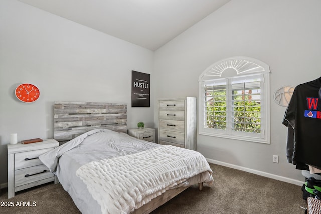 4735 E Harmony Cir, Mesa, AZ 85206 - bedroom with dark carpet and high vaulted ceiling