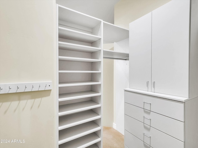 walk in closet featuring carpet flooring