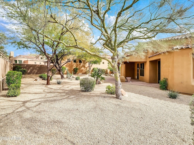 view of yard with a patio