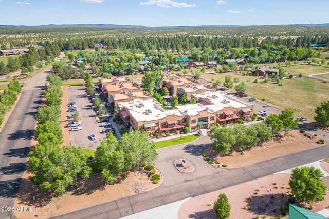 aerial view with a forest view