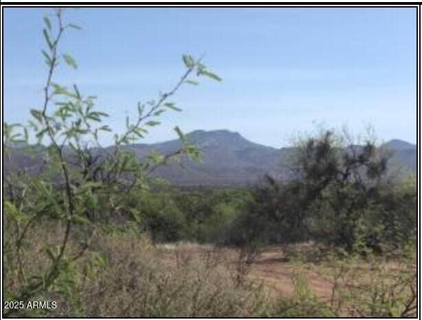 115E S Az-Highway 188 -, Unit Tonto Basin AZ, 85553 land for sale