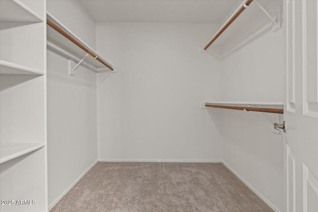 walk in closet featuring carpet