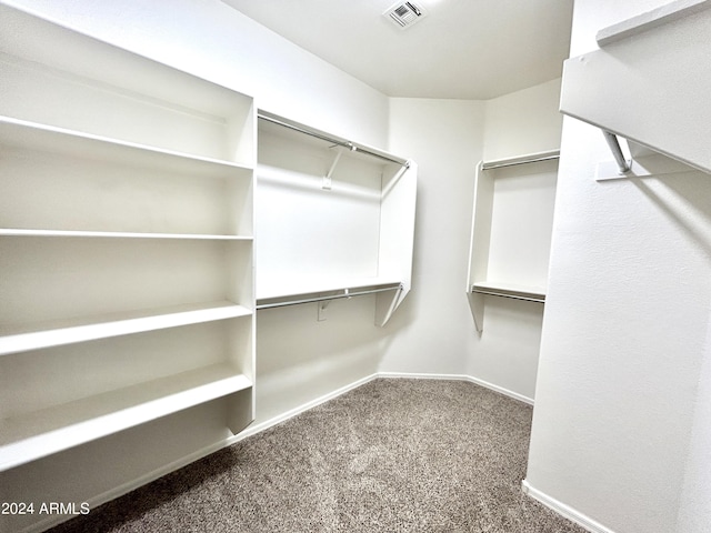 spacious closet featuring carpet flooring