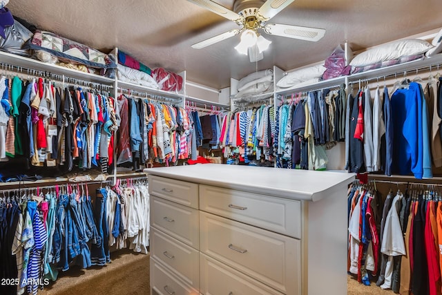 spacious closet featuring ceiling fan and carpet