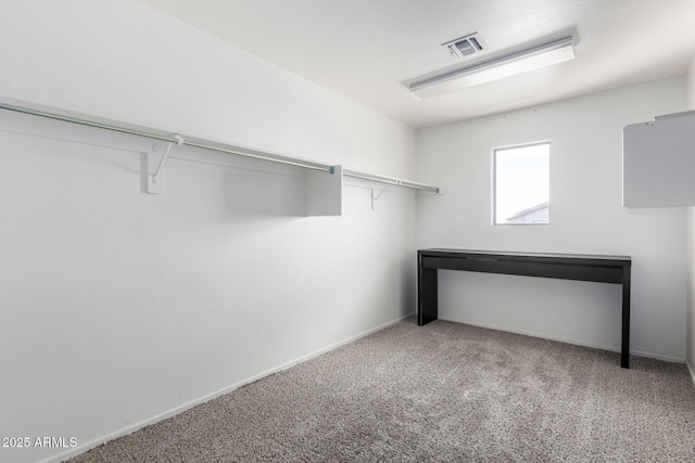 spacious closet featuring light colored carpet