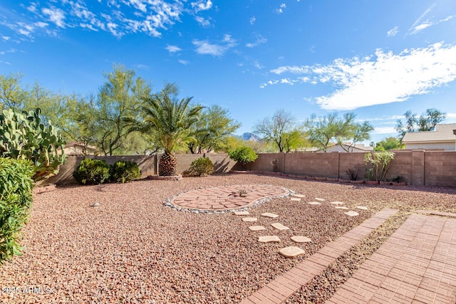 view of yard featuring a patio area