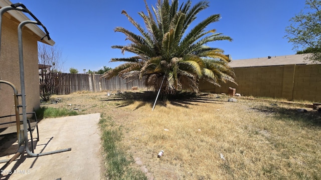 view of yard featuring a patio area and a fenced backyard