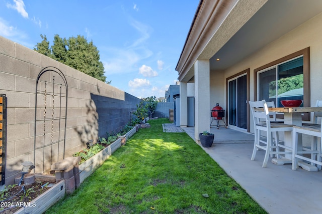 view of yard featuring a patio