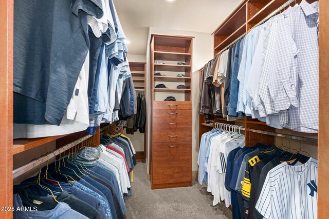 spacious closet with carpet flooring