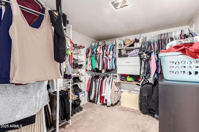 2801 W Glenrosa Ave, Phoenix, AZ 85017 - spacious closet with carpet floors