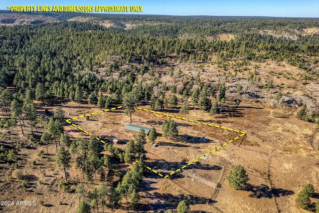 1528 Black Canyon Rd, Heber, AZ 85928 - aerial view of property's location with a forest and property parcel outlined