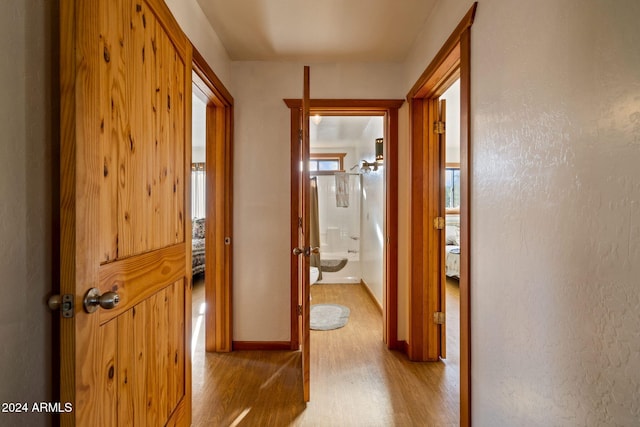 1528 Black Canyon Rd, Heber, AZ 85928 - corridor with wood finished floors and baseboards