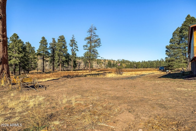 1528 Black Canyon Rd, Heber, AZ 85928 - view of yard
