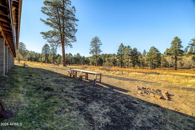 1528 Black Canyon Rd, Heber, AZ 85928 - view of yard