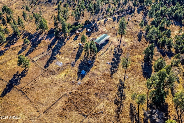 1528 Black Canyon Rd, Heber, AZ 85928 - view of rural area