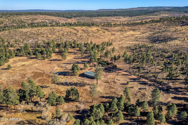 1528 Black Canyon Rd, Heber, AZ 85928 - aerial overview of property's location featuring rural landscape
