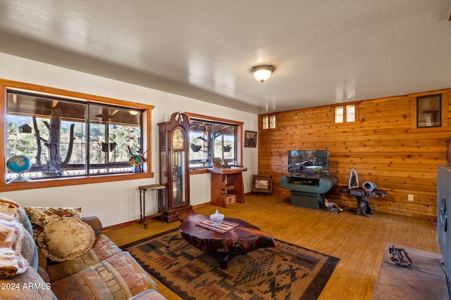 1528 Black Canyon Rd, Heber, AZ 85928 - living area with wooden walls, wood finished floors, and baseboards