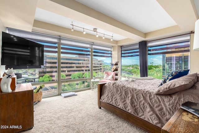 bedroom with track lighting and carpet