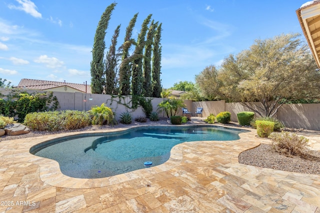 view of pool with a patio