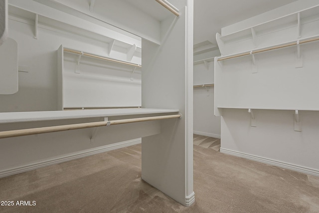3310 E Los Gatos Dr, Phoenix, AZ 85050 - walk in closet with carpet flooring