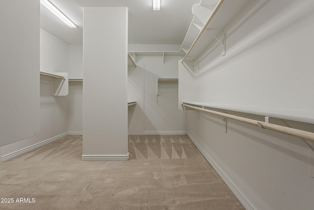 3310 E Los Gatos Dr, Phoenix, AZ 85050 - walk in closet featuring carpet