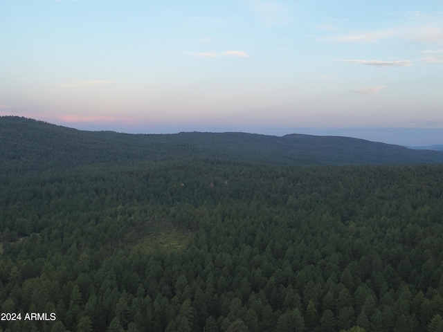 view of mountain feature